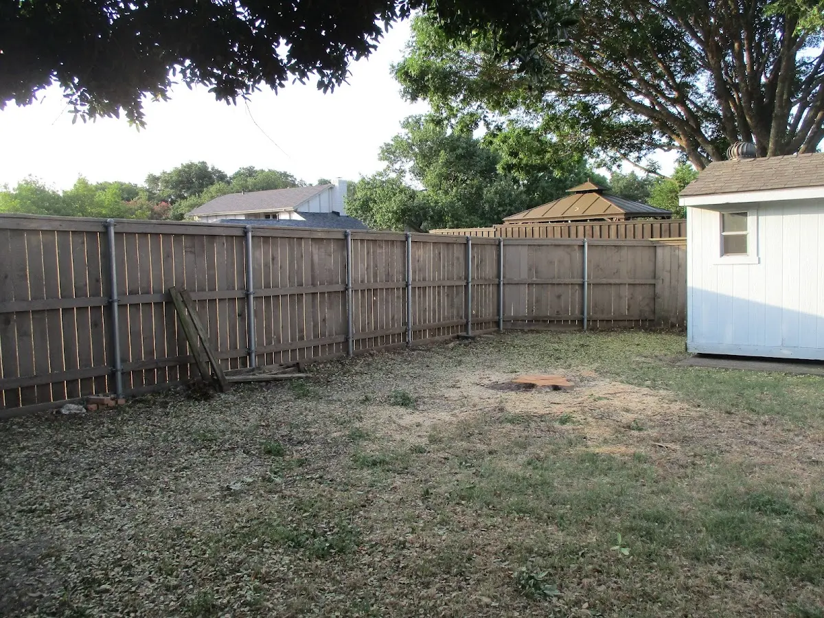 Cleared yard after professional tree removal in Postville